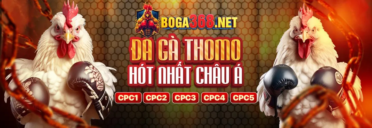 Tài liệu pháp lý Ku Casino